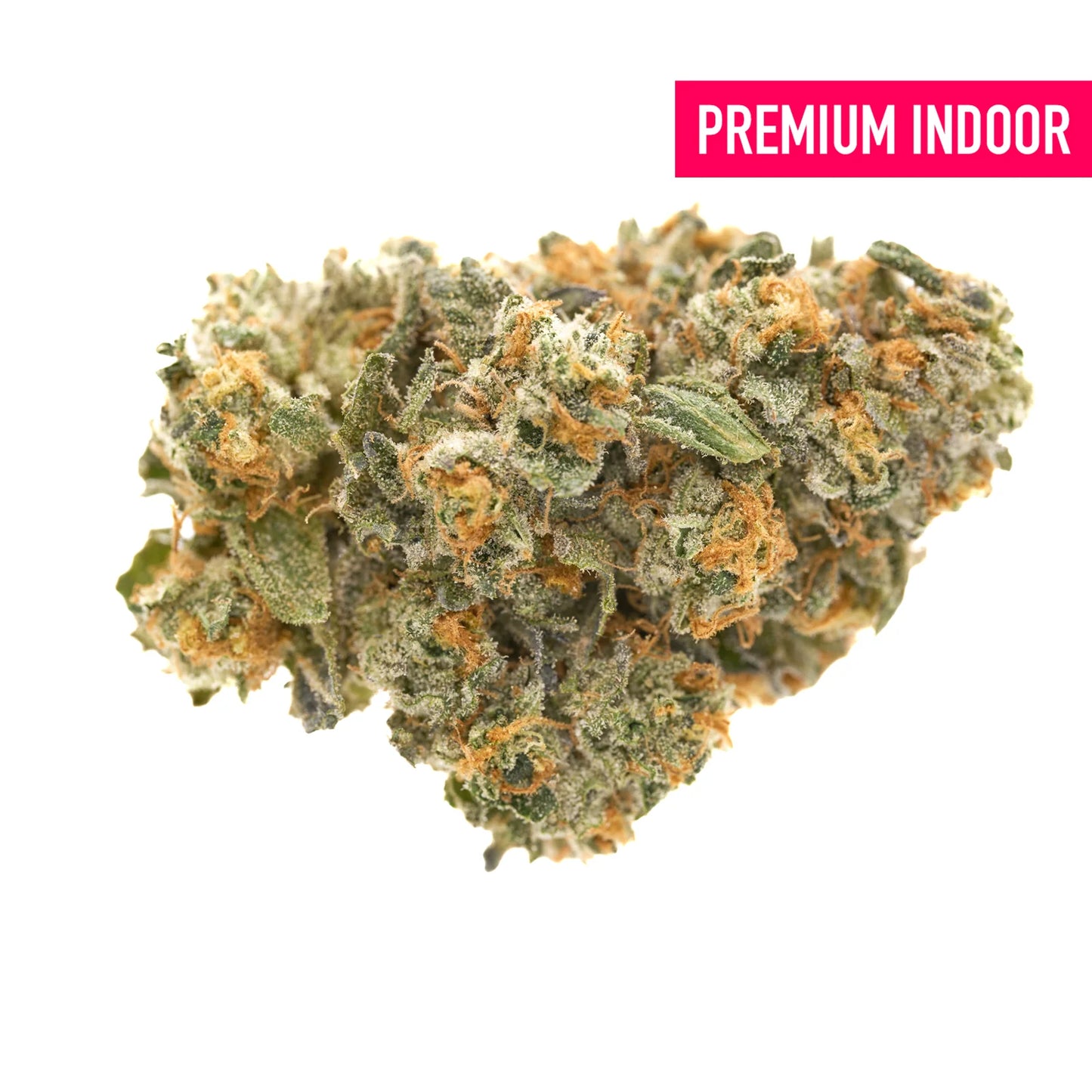 Blue Dream – Indoor THCa Flower